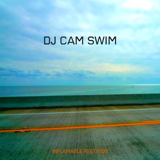 Cover artwork for Swim (Blackjoy Remix)