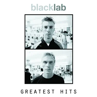 Greatest Hits - Black Lab