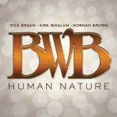 I'll Be There (feat. Rick Braun, Kirk Whalum & Norman Brown) artwork