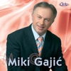 Miki Gajic, 2007