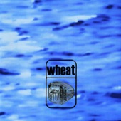 Wheat - Summer