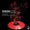 Seasons (Robert Babicz Remix) - Babak Shayan lyrics