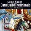 Saint-Saëns: Carnival of the Animals artwork