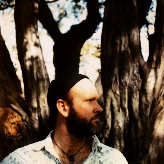 Cover artwork for Little Bird