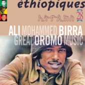 Ethiopiques 28 - Great Oromo Music artwork