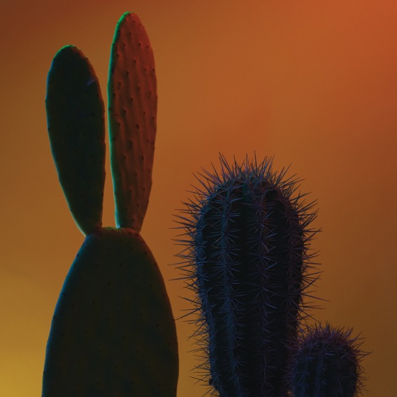 Cover artwork for Que Te Pasa
