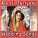 Best Punjabi Wedding Songs, Vol. 4 - Various Artists