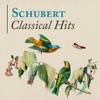 Schubert: Classical Hits