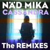 Cassandra (The Remixes)