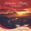 Armonias Sutiles, Vol. 6 - La Música de las Meditaciones de Juan Alberto Courtois, 2012