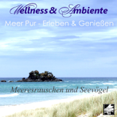 Meer und Möwen - Wellness & Ambiente