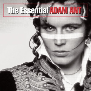Adam & The Ants - Antmusic - Line Dance Music