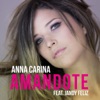 Amándote (feat. Jandy Feliz) - Single, 2014