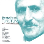 Beste Beste Türkü Türkü artwork