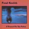 The Tardis - Frank Gambale lyrics