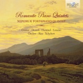 Piano Quintet in E-Flat Minor, Op. 87: I. Allegro e risoluto assai artwork