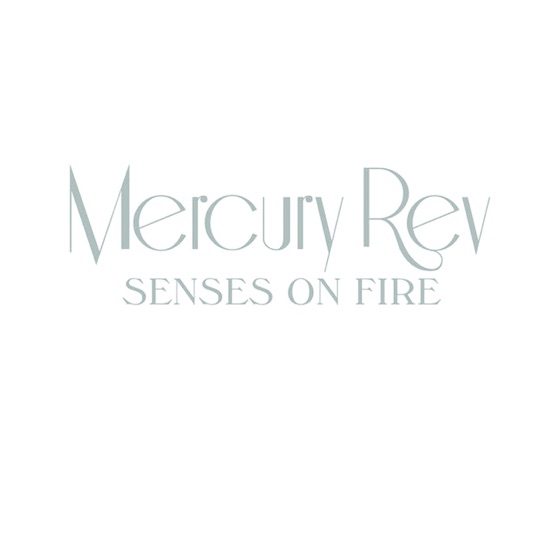 Cover artwork for Senses On Fire (Fujiya & Miyagi Remix)