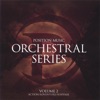 Position Music - Orchestral Series Vol. 2 artwork