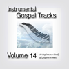 You Are Good (Low Key) [Originally Performed by Israel Houghton] [Instrumental Track] - Fruition Music Inc.