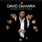 Caminos de Ida y Vuelta - David DeMaría lyrics