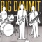 Parliament - Big Dammit lyrics