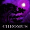 Under the Ruins - Chromus lyrics