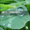 Raindrops - Dio S lyrics