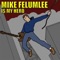 Shades of Gray - Mike Felumlee lyrics