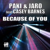 Because of You (feat. Casey Barnes) - Single