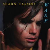 Shaun Cassidy - So Sad About Us