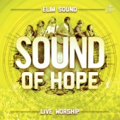 Sound of Hope (Live) artwork