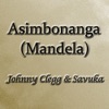 Asimbonanga (Mandela) - Single