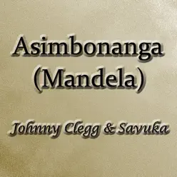 Asimbonanga (Mandela) - Single - Johnny Clegg