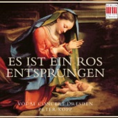 Es ist ein Ros entsprungen (Choral Music) artwork