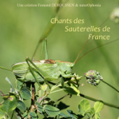 Naturophonia: Chants des sauterelles de France - Fernand Deroussen