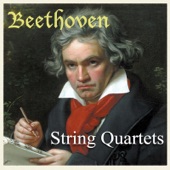 Beethoven: String Quartets artwork