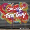 Strictly Todd Terry (Mixed Version)