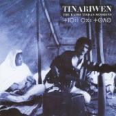 Le chant des fauves by Tinariwen