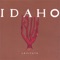 20 years - IDAHO lyrics