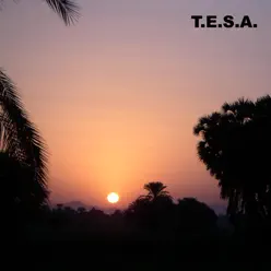 Shifting Probabilities - Processing 1995 up to Now ! - TESA Shifting Probabilities - Processing 1995 up to Now ! - TESA