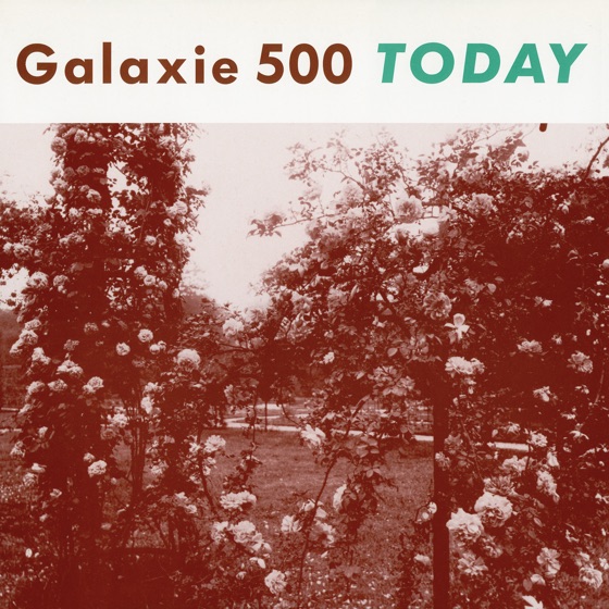 Cover artwork for Flowers