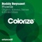 Phoenix (Kobana Remix) - Roddy Reynaert lyrics