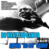Do What You Can Do: The Best of Arthur "Big Boy" Crudup artwork