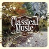 The Best of Classical Music Vol. 1, 2014