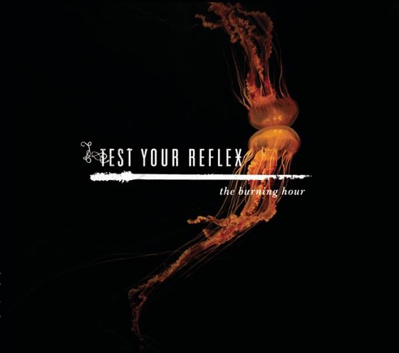 Cover artwork for New Year