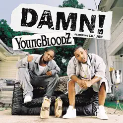 Damn! (feat. Lil' Jon) - Single - YoungBloodz