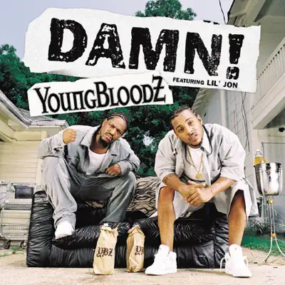 Damn! (feat. Lil' Jon) - Single - YoungBloodz