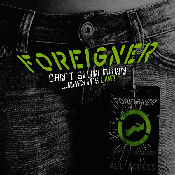 Foreigner - Waiting for a Girl Like You (Live)