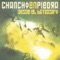 Multirricachon - Chancho En Piedra lyrics