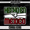 Stream & download Hecho en México (Cumbia Remix) - Single